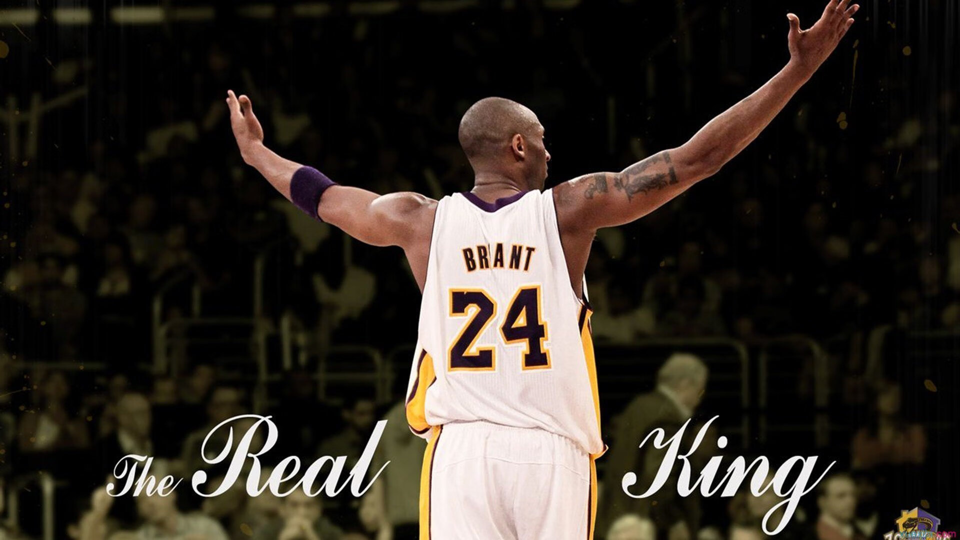 朱婷鼓励新人突破瓶颈不断挑战自我，朱婷的绝招