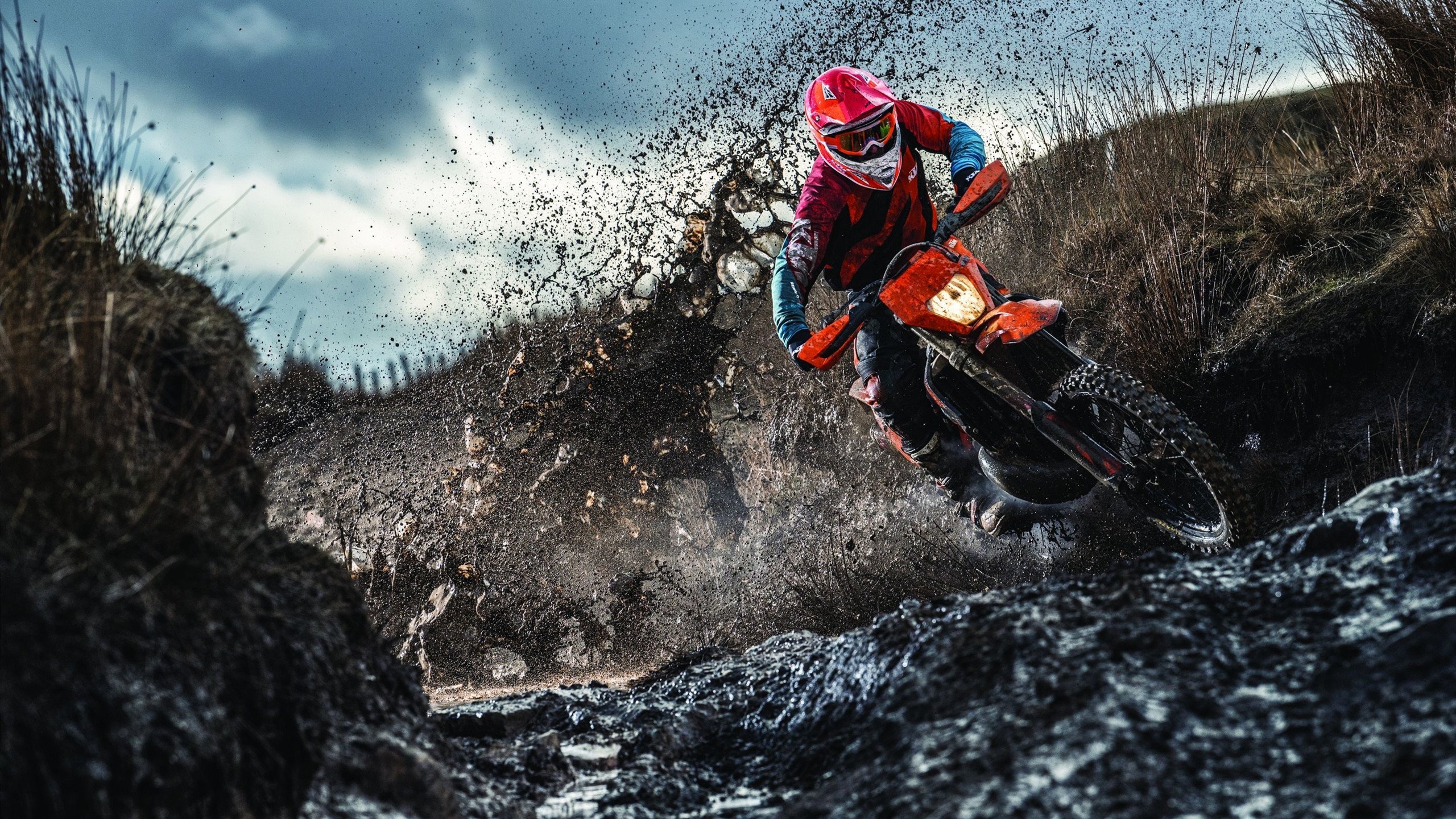 美国泳将齐心协力收获银牌