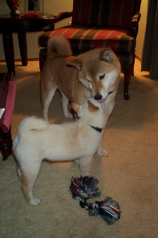 爱游戏娱乐平台-史诗级对决：欧洲豪门宿命之战，欧洲超级豪门