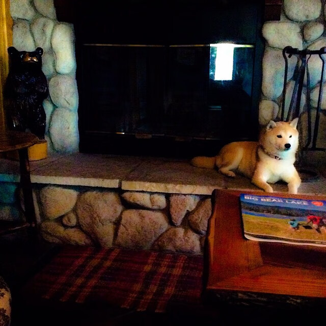 大师赛标题:谁能掀起冠军新篇章?,大师赛冠军排名